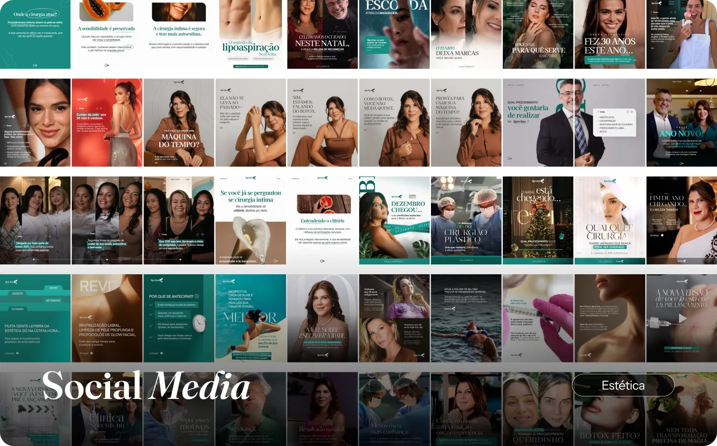 Carrosséis de social media, Spectus